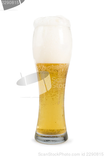 Image of Mug filled with beer