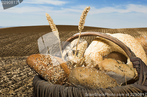 Image of Bread and wheat cereal crops.