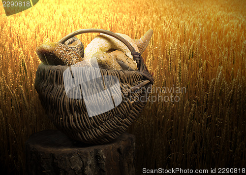 Image of Breads and wheat cereal crops