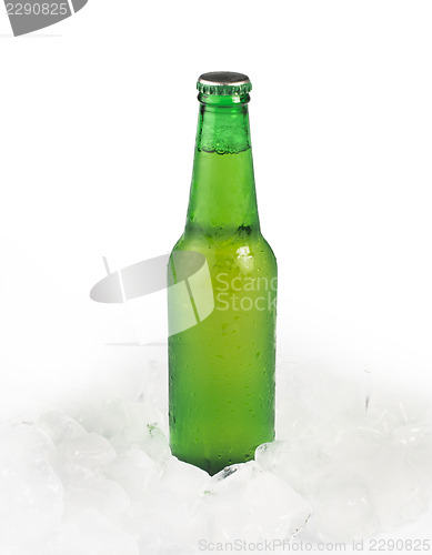 Image of Green Bottle of beer