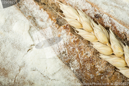 Image of Close up Bread and wheat cereal crops