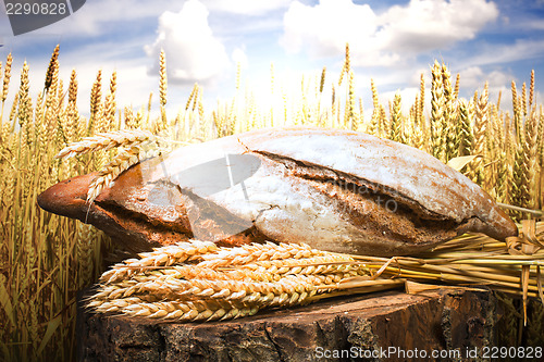 Image of Bread and wheat cereal crops