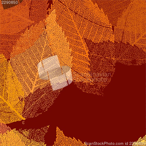 Image of Dry autumn leaves template. EPS 8