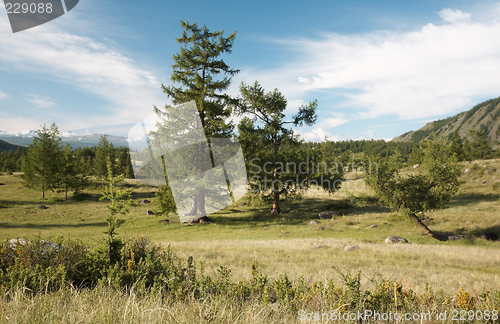 Image of West Sayan Mountains