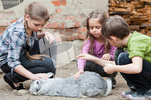 Image of Children playing with rabbit