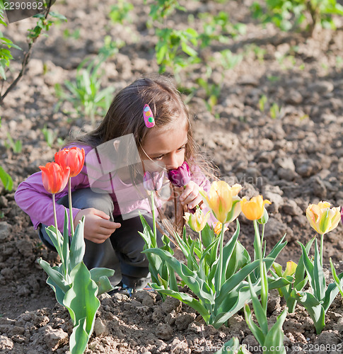 Image of Little girl with tulips