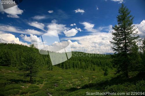 Image of West Sayan Mountains