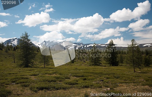 Image of West Sayan Mountains