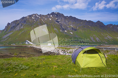 Image of Camping on Lofoten