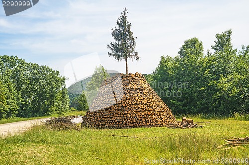Image of fuelwood for summer solstice fire