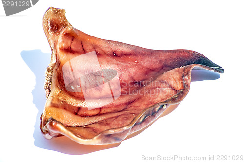 Image of pig ear