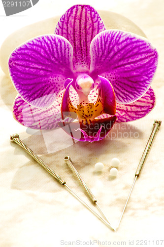 Image of homeopathic globules and acupuncture needles