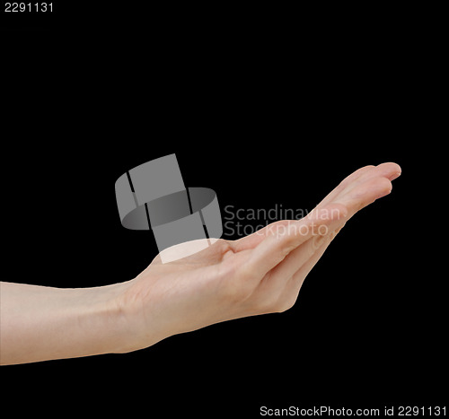 Image of White hand on black