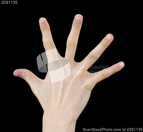 Image of White hand on black