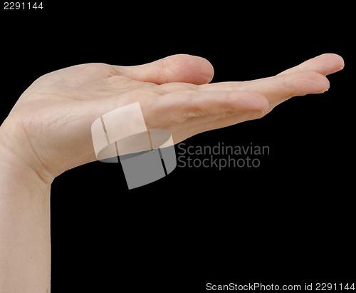 Image of White hand on black