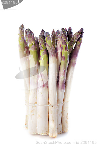 Image of purple asparagus