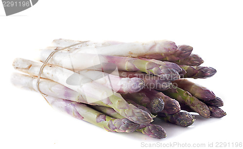 Image of purple asparagus