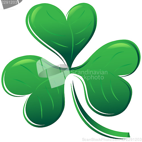 Image of clover shamrock