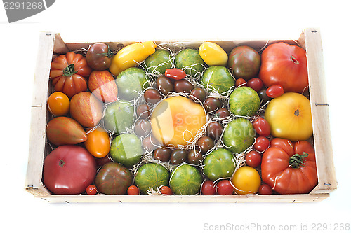 Image of crate of tomatoes