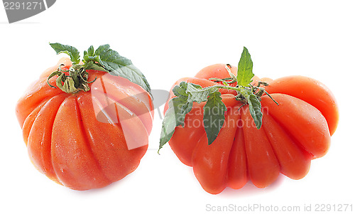 Image of Beefsteak tomatoes