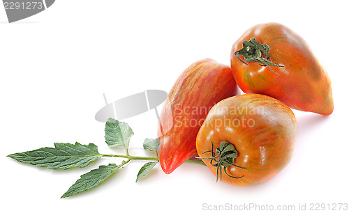 Image of San Marzano tomatoes