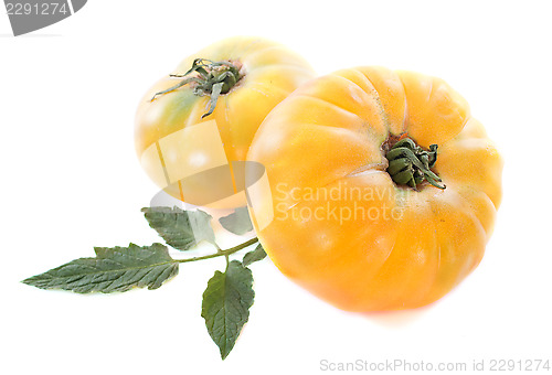 Image of pineapple tomatoes