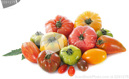 Image of varieties of tomatoes