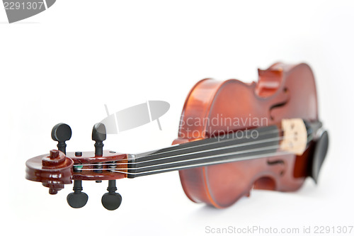 Image of Violin