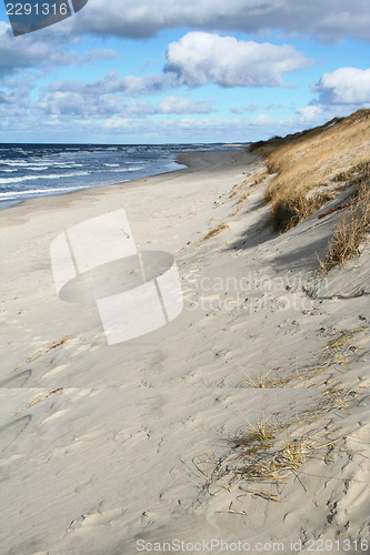 Image of Coast of the Baltic Sea in winter on the Kurshskaya kosa