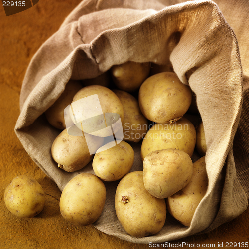 Image of overflowing bag of potatos