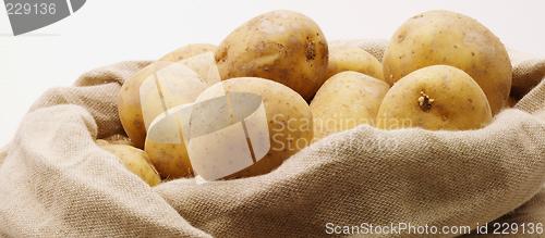 Image of Top of potatobag