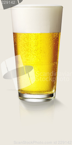 Image of perfect glass of beer