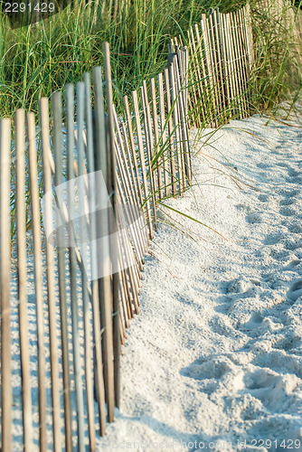 Image of Dune Fence on Beach 