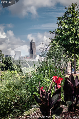 Image of charlotte north carolina view from greenway