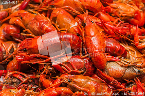 Image of steamed crawfish