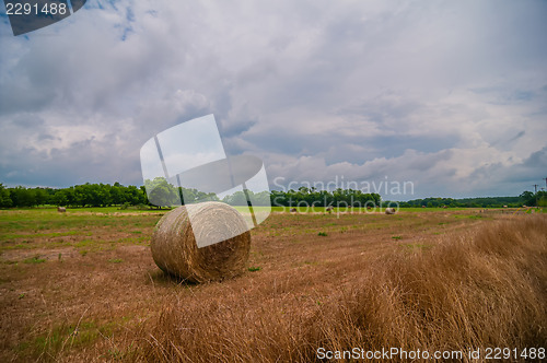 Image of hay bales