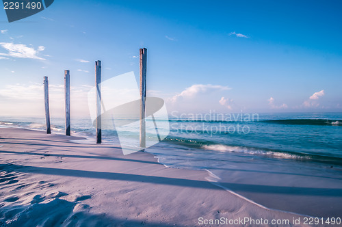 Image of old pier pile support columns standing along the beach