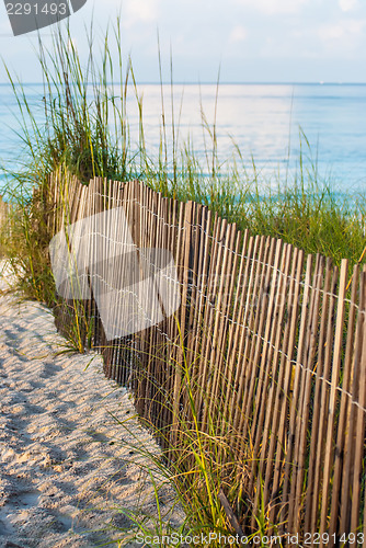 Image of Dune Fence on Beach 