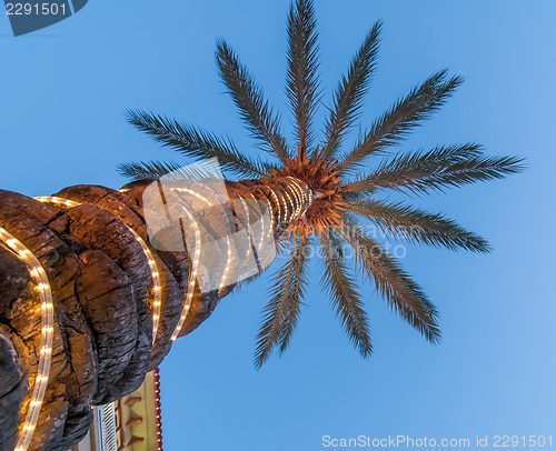 Image of palm tree with lights