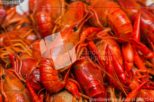 Image of steamed crawfish