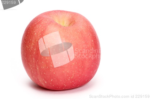 Image of pink apple