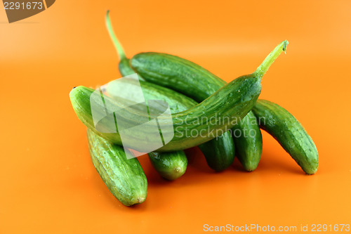 Image of Fresh Cucumber 