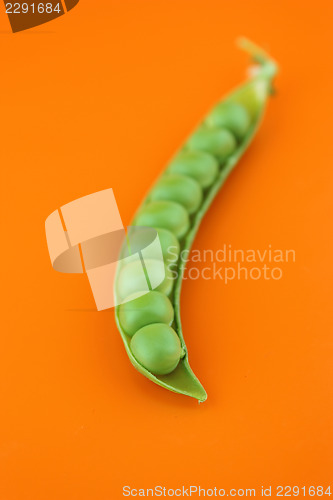 Image of fresh pea