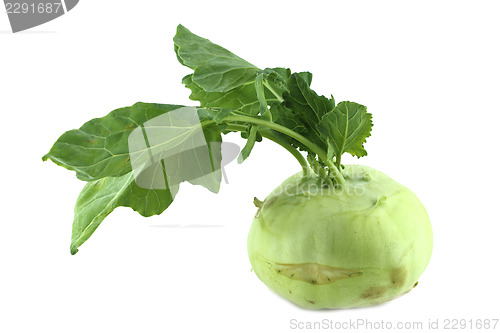 Image of Cabbage kohlrabi