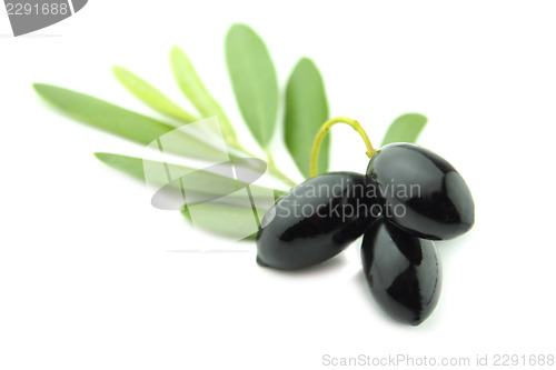 Image of Black Olives