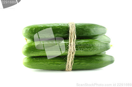 Image of Fresh Cucumber 