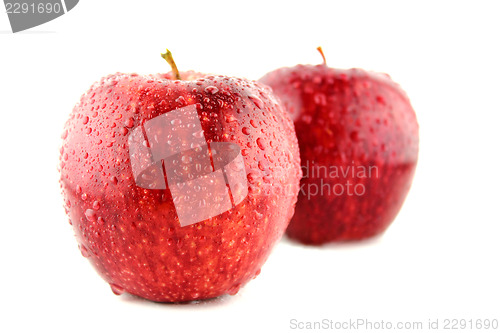 Image of Fresh red apple 