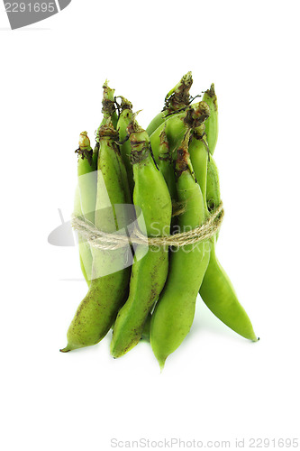 Image of broad bean pods and beans