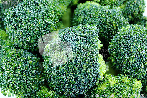 Image of Fresh broccoli