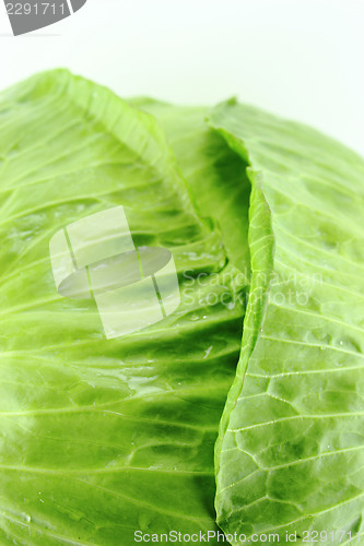 Image of fresh green cabbage